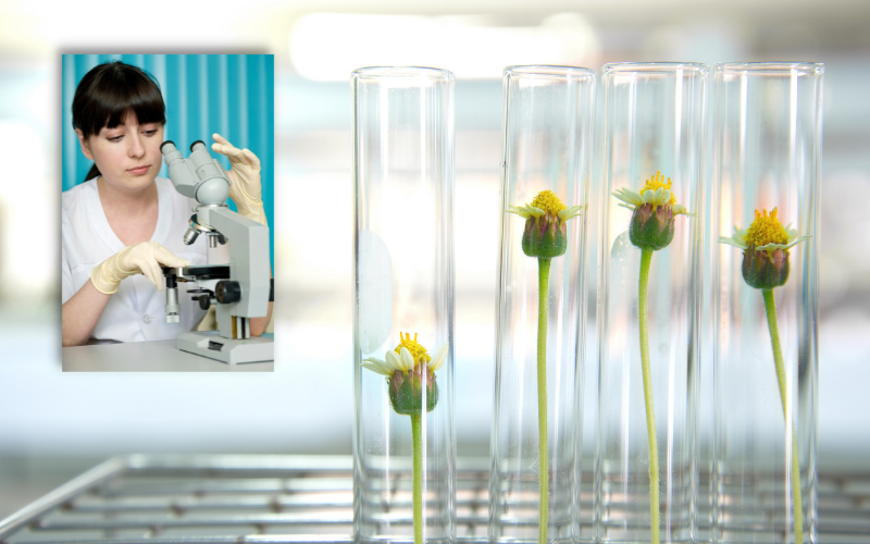 “Comment appliquer le 49e amendement de l’IFRA en cosmétique ?”